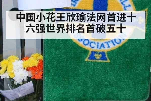 中国小花王欣瑜法网首进十六强世界排名首破五十